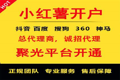 信息流广告精准投放：成功案例展示